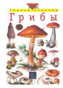 48602_0