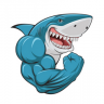 #Megalodon